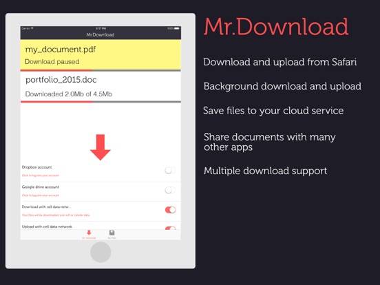 Screenshot #5 pour Mr Download