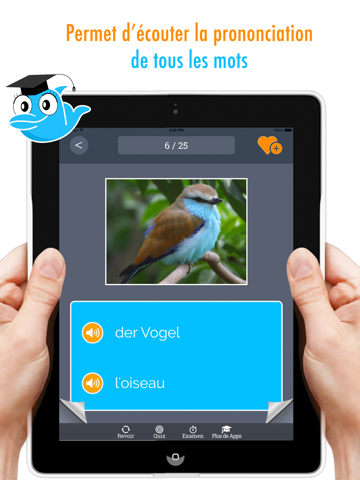 Screenshot #4 pour Apprendre Allemand: Entraîneur de vocabulaire et prononciation - Gratuit