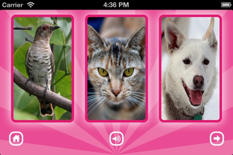 GRoink: fun puzzle game with animal sounds screenshot 3