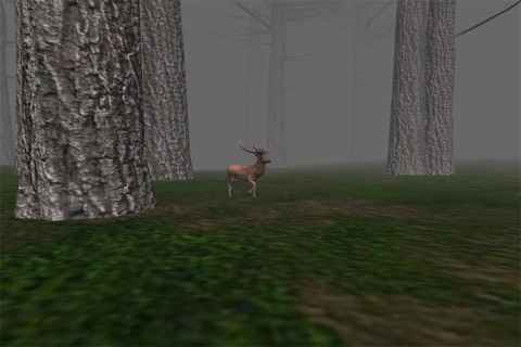 Trapped in the Forest screenshot 3