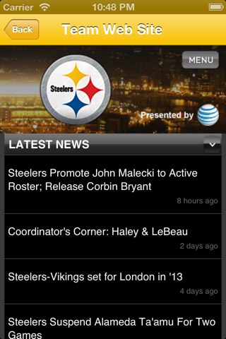 Steelers Fan Static screenshot 4