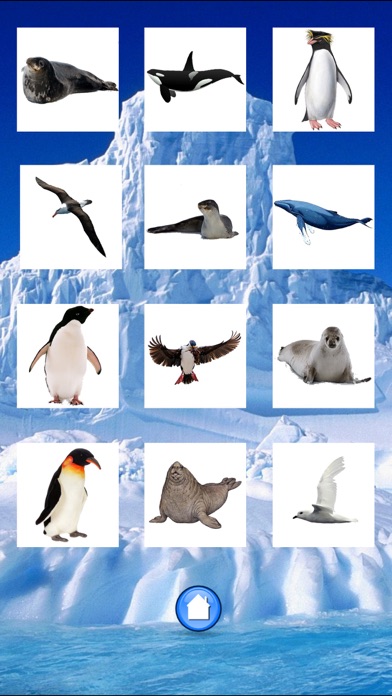 Screenshot #2 pour Animaux Antarctique
