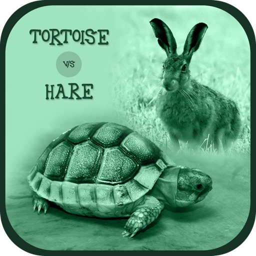 Tortoise or Hare