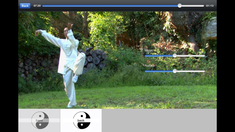 Tai Chi Yang