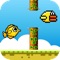 Bird vs Fish - Flying vs Swimming