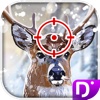 Kill Deer Winter
