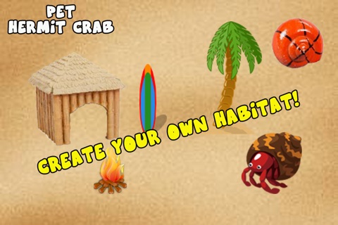 A Pet Hermit Crab screenshot 3