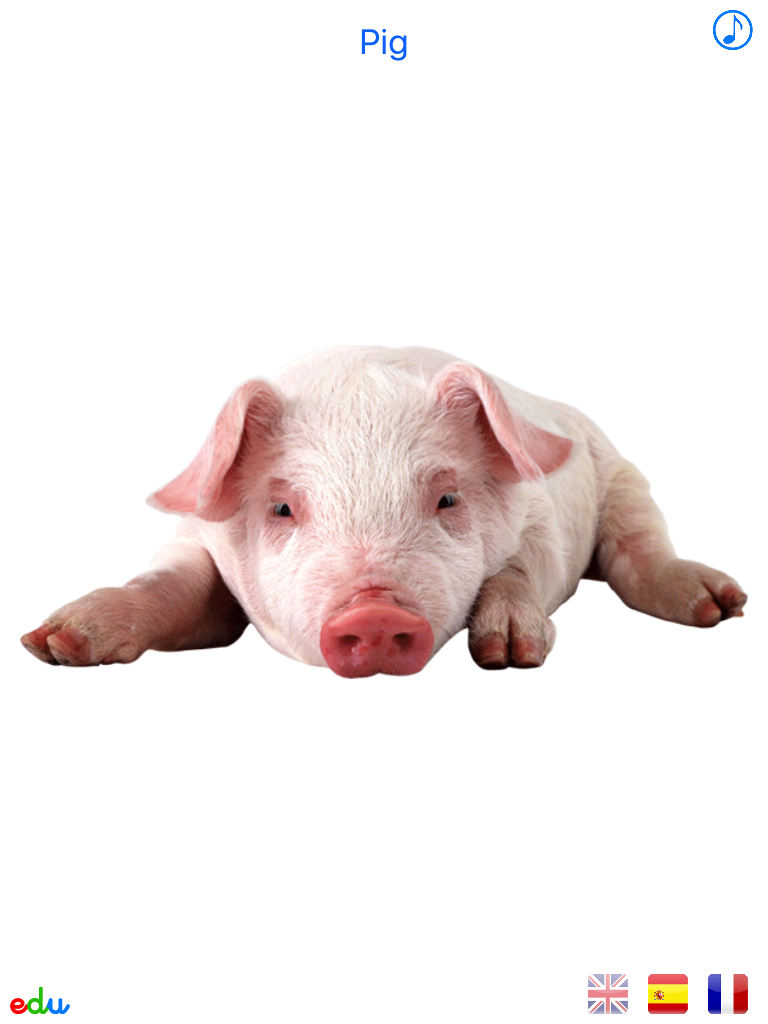 Animals Animated Multilingual - Free screenshot 7