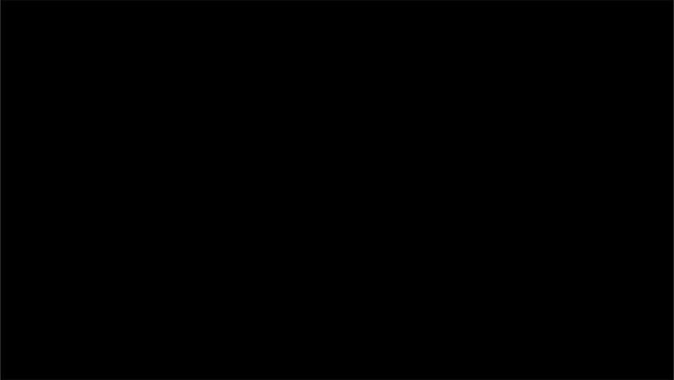 Spy Video Lite