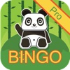 Panda Bingo Pro