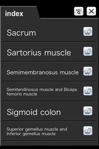 Abdominal CT Sectional Walker Lite screenshot 3