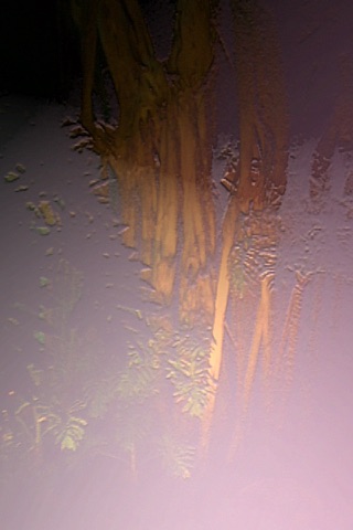 Bump-D-Light screenshot 3