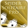 Spider Solitaire Pro for iPad