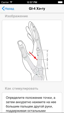 Game screenshot Акупрессура: При головной боли apk