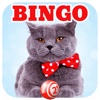 Cat Lovers BINGO! - FREE Multi-Room Bingo Game