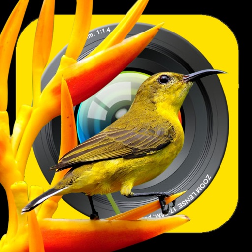 Birds FX - Mix with your Photos icon