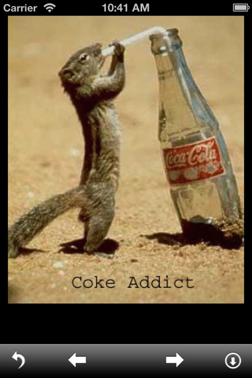 Funny Animal Pictures screenshot-3