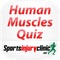 Human Muscles Quiz from Sportsinjuryclinic.net