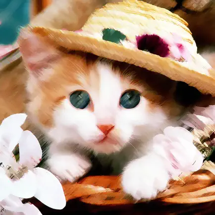 X-MOE~Extremely HD Wallpaper Gallery for Kitty & Doggy Читы