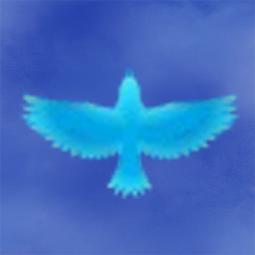 Flying in the sky iOS App