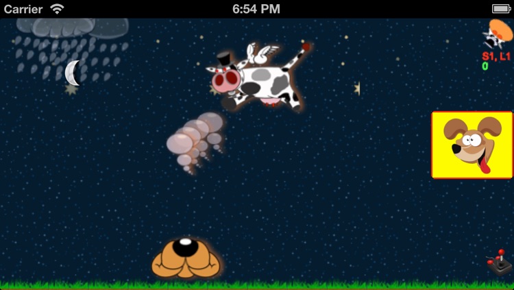 Shaking Head, Flying Cow