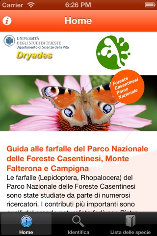 Guida alle farfalle del Parco Nazionale delle Foreste Casentinesi, Monte Falterona e Campigna screenshot 3