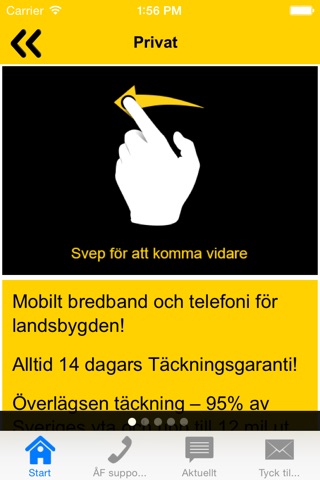 Net1 ÅF screenshot 2