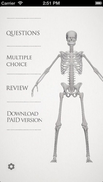 basic anatomy for all [bones] lite