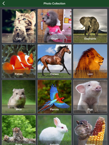 Animal Jigsaw Puzzle - Ultimate swap tile game edition iPad screenshot