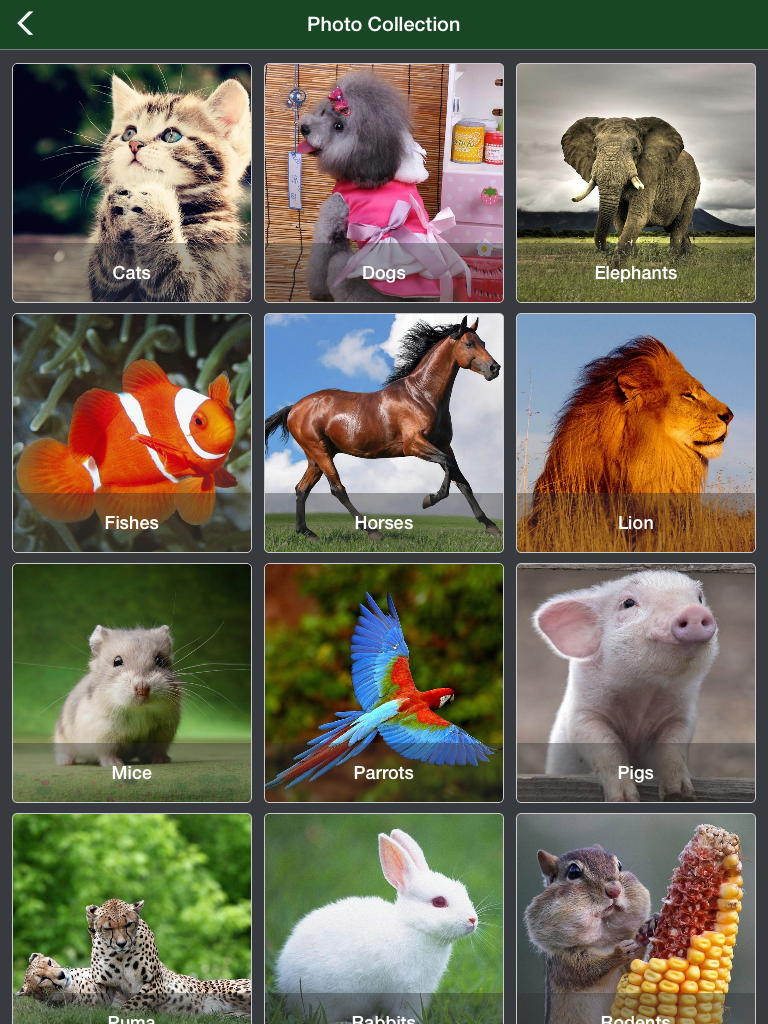 Animal Jigsaw Puzzle - Ultimate swap tile game edition