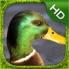 Duck Simulator - HD