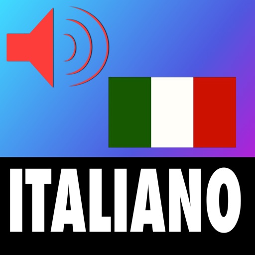 Aprende Italiano - 500 Verbos con MemItaliano iOS App
