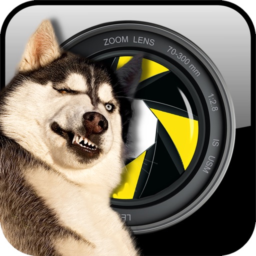 PhotoCrash master your photos with creative fx and elements to mix, mash, fake and change your ordinary pix into extraordinary, wonderful, silly ideas just like using photoshop but much more intuitive, simple and cheap Icon