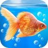 Aquarium Goldfish 3D