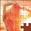 Jigsaw Summer Boardgame For Daily Play Pro Edition