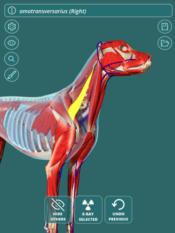 Visual Anatomy - Canineのおすすめ画像1