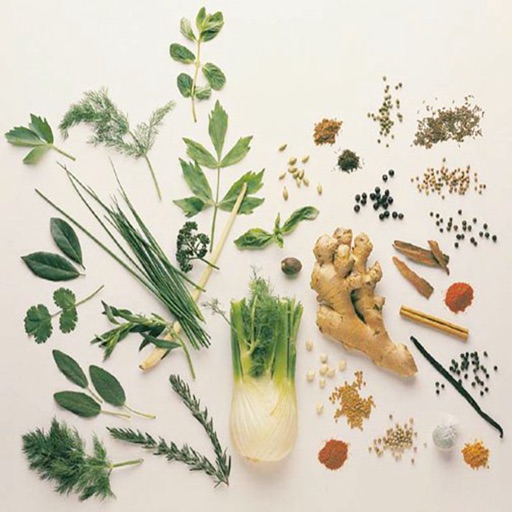 Herbal Guide:Natural Medicine Treatment icon