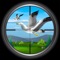 Bird Hunting - Real Adventure Flying Bird Shooting Game