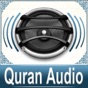 Quran Audio - Sheikh Abu Bakr Shatry app download