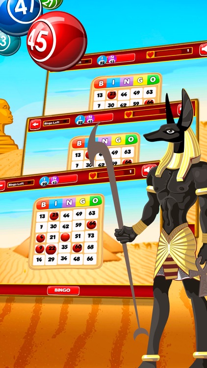 Bingo Happy Paddle - Free Bingo