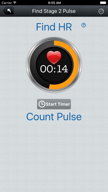 VO2 Max Aerobic Endurance Step Test Assessment