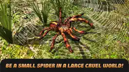 Game screenshot Spider Life Simulator 3D mod apk