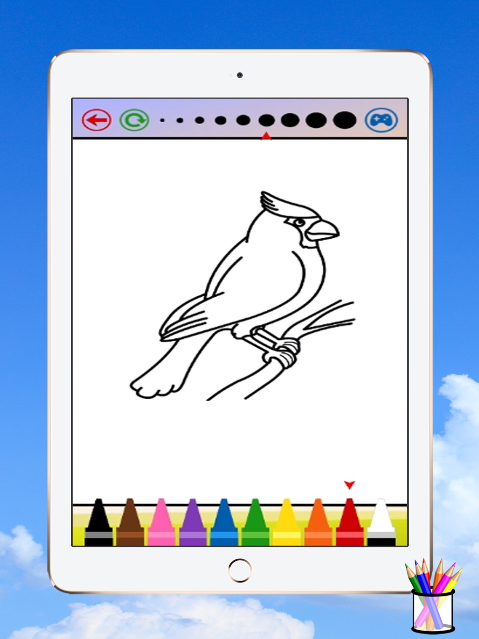 iPad screenshot
