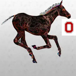 FoalScore app icon