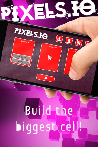 Pixels.io screenshot 2