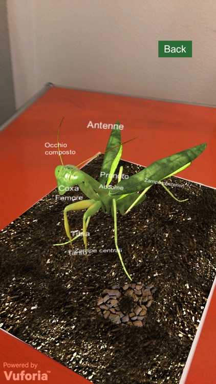 Welcome to the Jungle screenshot-3