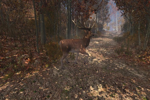 VR Feel the Nature 3D screenshot 4