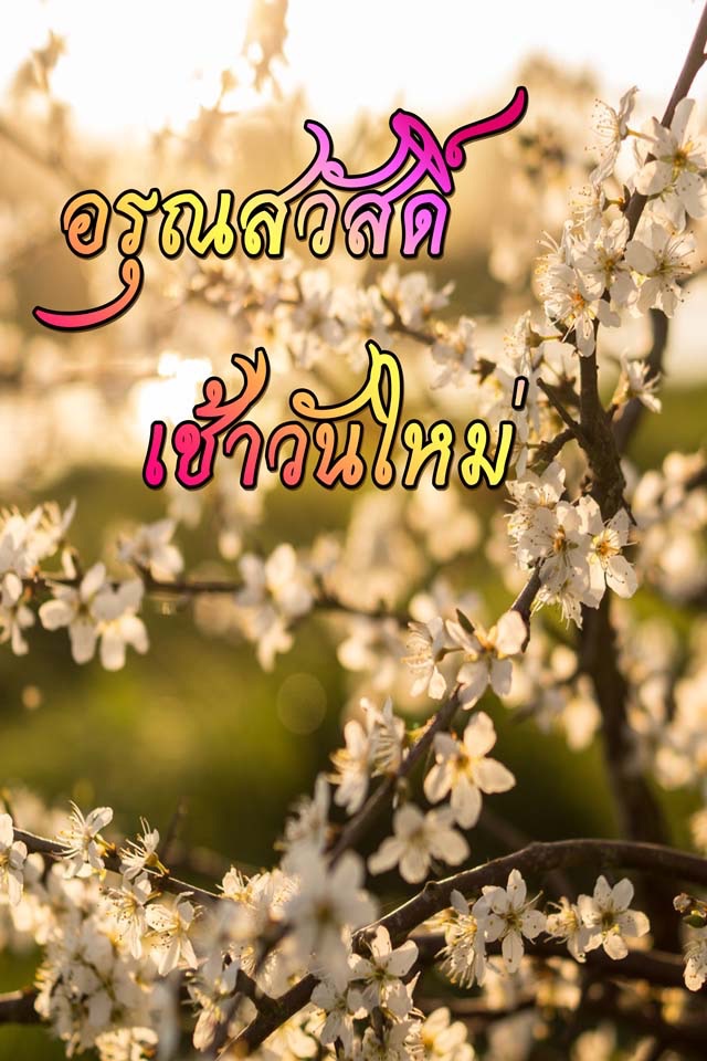 คำคมสวัสดี สวัสดีตอนเช้าฟรีตามวัน screenshot 2