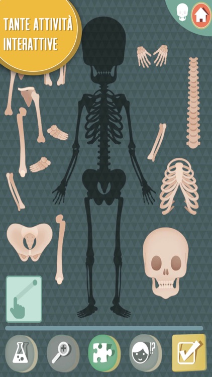 Il corpo umano: De Agostini