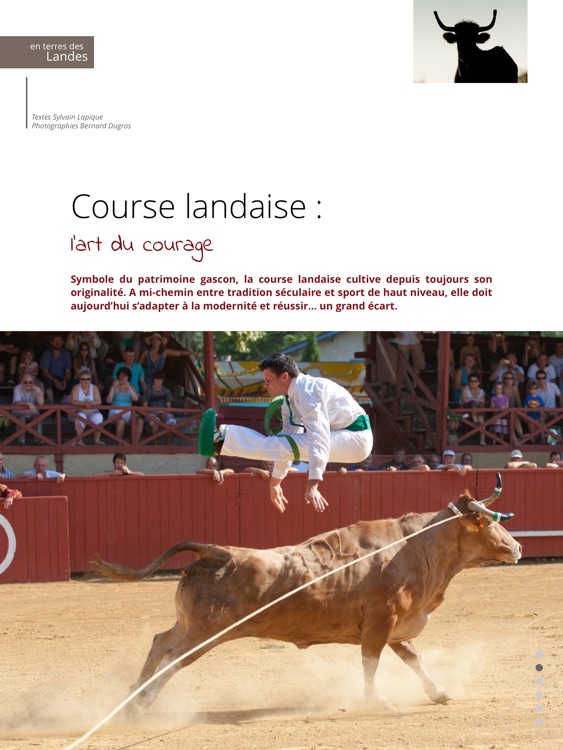 Terres des Landes #1 screenshot-4